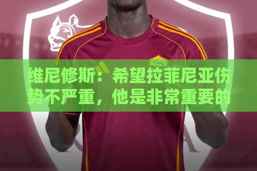 维尼修斯：希望拉菲尼亚伤势不严重，他是非常重要的球员