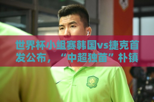 世界杯小组赛韩国vs捷克首发公布，“中超独苗”朴镇燮替补待命