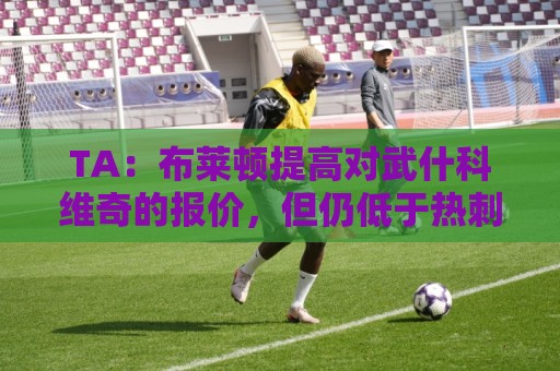 TA：布莱顿提高对武什科维奇的报价，但仍低于热刺估价