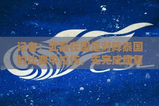 记者：武磊在国足对阵泰国的比赛中拉伤，先完成康复训练再跟队