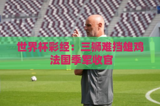 世界杯彩经：三狮难挡雄鸡 法国季军收官