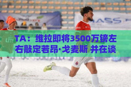TA：维拉即将3500万镑左右敲定若昂·戈麦斯 并在谈租帕利尼亚