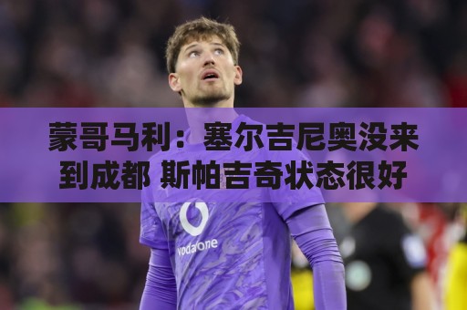 蒙哥马利：塞尔吉尼奥没来到成都 斯帕吉奇状态很好我们信任他