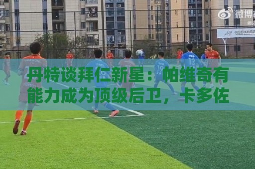 丹特谈拜仁新星：帕维奇有能力成为顶级后卫，卡多佐是球员的榜样