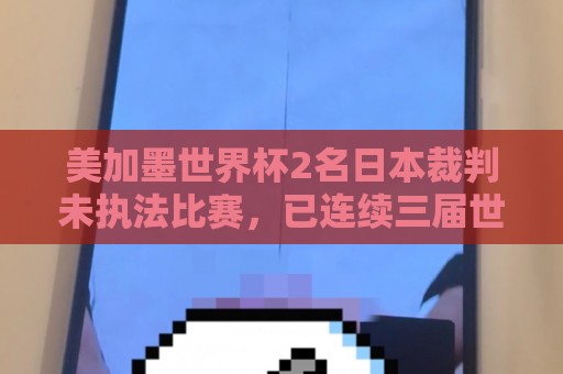 美加墨世界杯2名日本裁判未执法比赛，已连续三届世界杯无缘执法