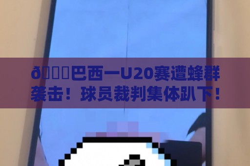 🐝巴西一U20赛遭蜂群袭击！球员裁判集体趴下！如何科学躲避？