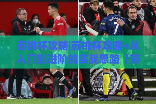 苏挑杯攻略|苏挑杯攻略+从入门到进阶的实战思路【苏挑杯攻略】🌷今日最新外围押球网平台赛后回放JRS大小球预测免安装