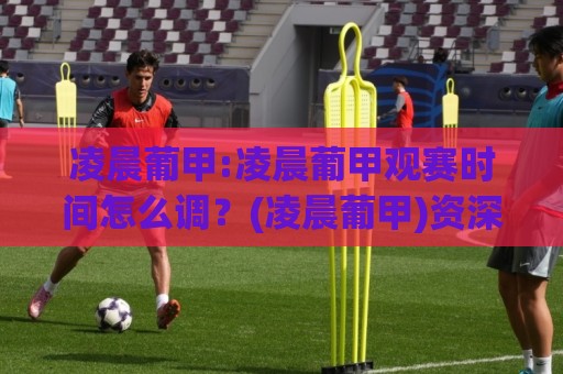 凌晨葡甲:凌晨葡甲观赛时间怎么调？(凌晨葡甲)资深球迷的深夜足球生物钟养成记【凌晨葡甲】🌷今日最新外围买球网原声解说降盘APP网址球盘平台