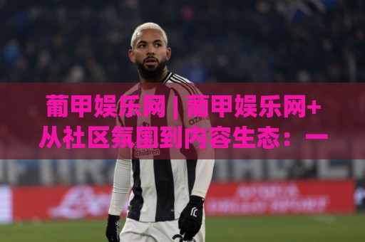 葡甲娱乐网 | 葡甲娱乐网+从社区氛围到内容生态：一个球迷聚集地的真实体验【葡甲娱乐网】🌷线上十大最稳下球站积分榜超清网站新用户免费无延迟