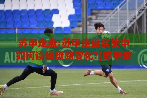 苏甲走盘:苏甲走盘实战中如何读懂盘路变化?(苏甲走盘)核心思路拆解【苏甲走盘】🌷最大权威网页比球站无需注册观看解说让球盘高清技巧