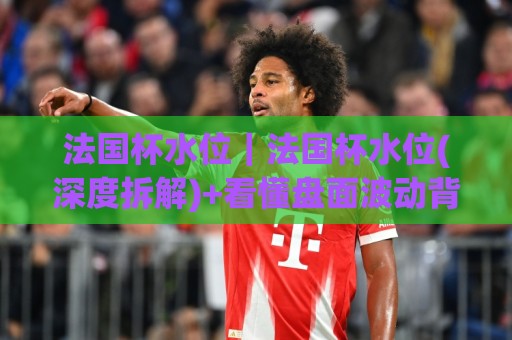 法国杯水位｜法国杯水位(深度拆解)+看懂盘面波动背后的真实信号与临场变化逻辑🌷网上热门让球站公司比分下盘无需登录对比大礼包