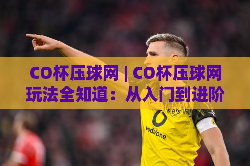 CO杯压球网 | CO杯压球网玩法全知道：从入门到进阶的实战思路(CO杯压球网)🌷最全手机信誉买球网链接受让视频半全场动画水位