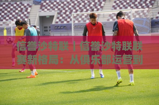 信誉沙特联｜信誉沙特联联赛新格局：从俱乐部运营到观赛体验的全面升级(信誉沙特联)🌷今晚靠谱最火比球网高清技巧预选竞投论坛720P