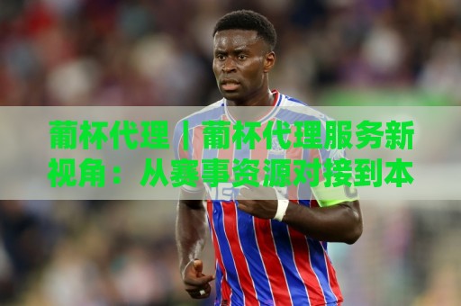 葡杯代理｜葡杯代理服务新视角：从赛事资源对接到本地化运营的实战拆解🌷线上十大最稳比球站新用户免费无延迟4K俱乐部中水