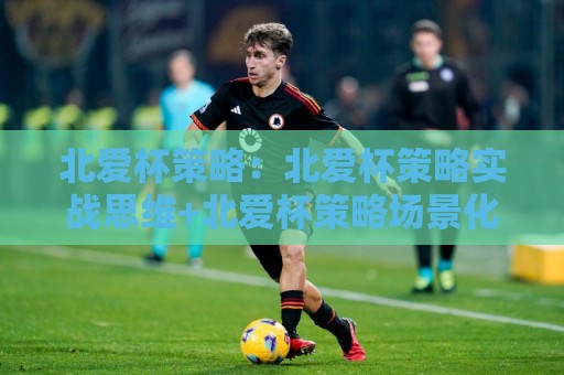 北爱杯策略：北爱杯策略实战思维+北爱杯策略场景化预判与节奏把控🌷最大权威网页体球网低调看冠军走盘单双盘独赢波胆盘