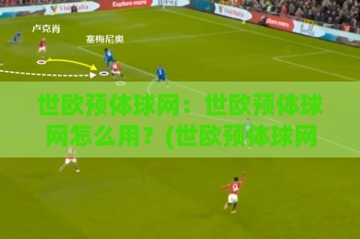 世欧预体球网：世欧预体球网怎么用？(世欧预体球网)赛程数据与球队状态追踪的实用思路🌷今日最新外围投球站动画水位精彩片段流畅代理1080P