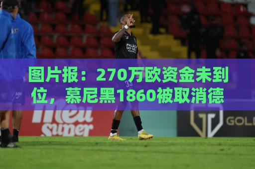 图片报：270万欧资金未到位，慕尼黑1860被取消德丙参赛资格