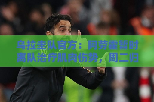 乌拉圭队官方：阿劳霍暂时离队治疗肌肉伤势，周二归队训练