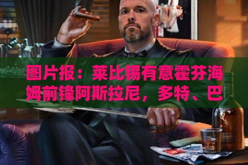 图片报：莱比锡有意霍芬海姆前锋阿斯拉尼，多特、巴萨也关注球员