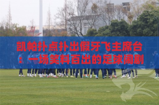 凯帕扑点扑出假牙飞主席台：一场笑料百出的足球闹剧【凯帕扑点】