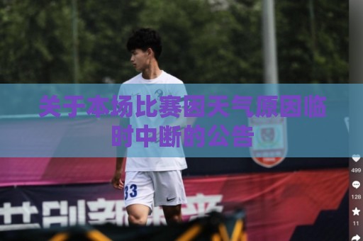 关于本场比赛因天气原因临时中断的公告
