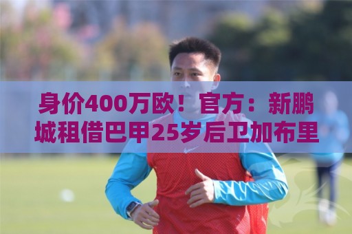 身价400万欧！官方：新鹏城租借巴甲25岁后卫加布里埃尔·哈维尔